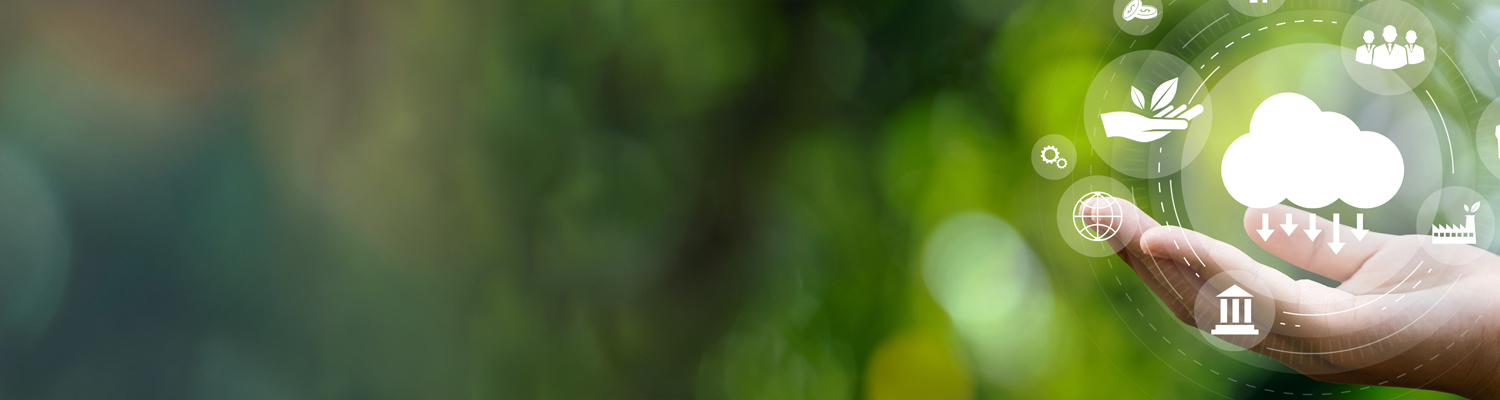 Salute-Ambiente-Biodiversità-Clima: Programma di formazione